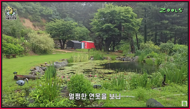 간추린 사건사고 ️250720일13 뉴스모음