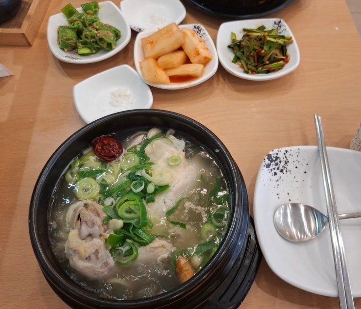  [판교] 반계탕 먹고 싶을때, 판교 한방 삼계탕!