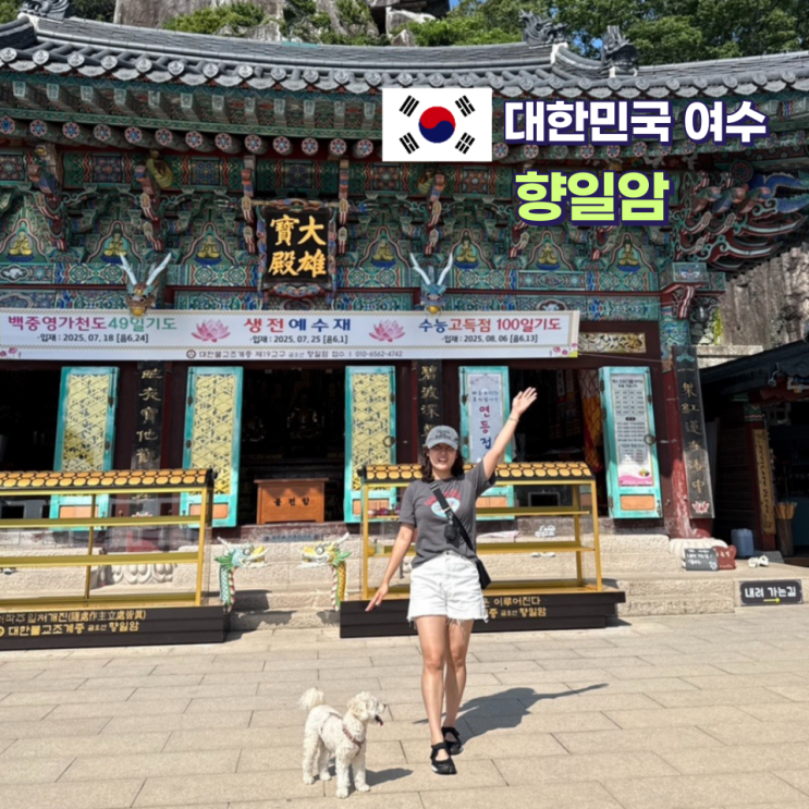  여수 여행지 추천 향일암 주차장 추천 코스 애견동반 가능