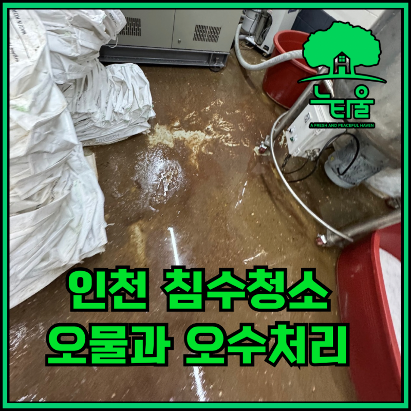 오수관 터짐으로 생긴 오물과 오수, 인천 침수청소 과정 공유