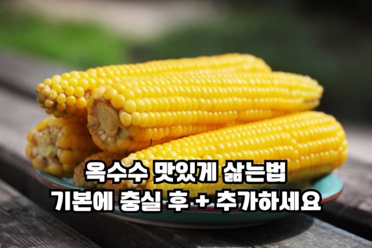  옥수수 삶는법 기본에 충실히!! 시간과 양 조절