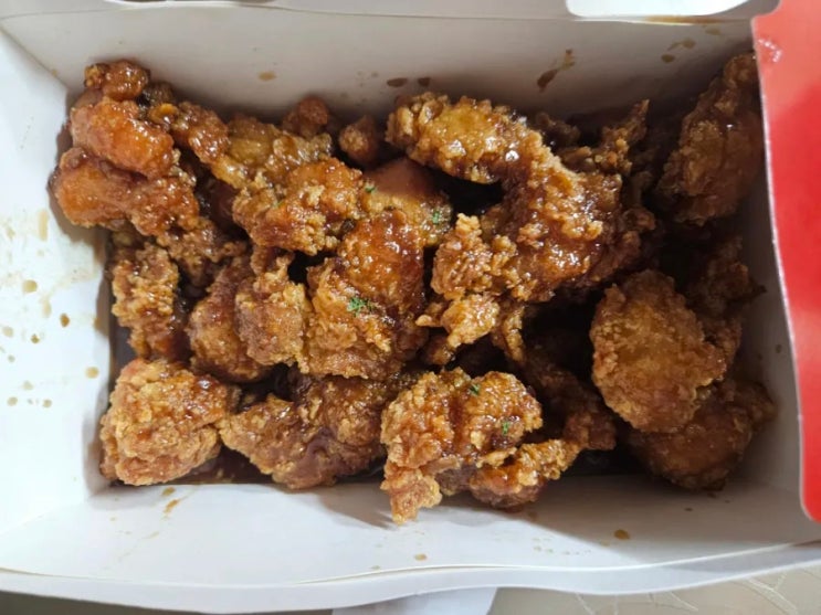  [내돈내산] 닭다리 순살 하나만 제대로하는 치킨집 시식후기 2탄!!