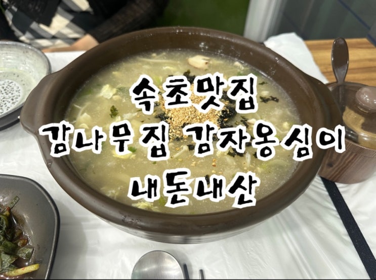  속초중앙시장 감나무집 감자옹심이 내돈내산 솔직후기