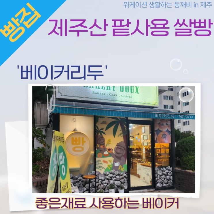  제주 노형동 '베이커리두', 직접 재배한 제주산 팥, 착한가격