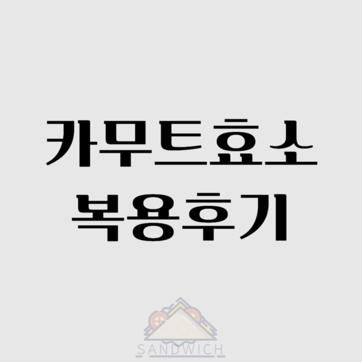  속 편하고 건강한 하루를 위한 선택, 카무트 효소 추천!