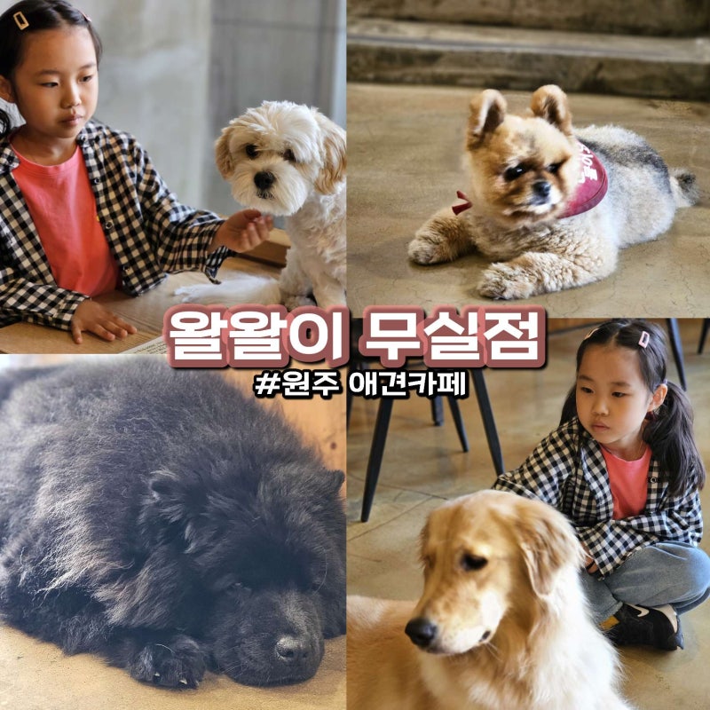 사진 3