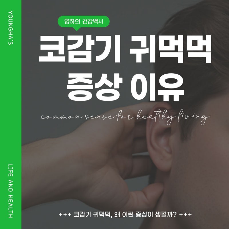 코감기 귀먹먹 증상의 원인과 해결 방법