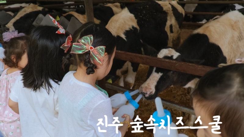진주 숲속치즈스쿨 아이와 갈 곳 쿠킹클래스부터 목장체험까지