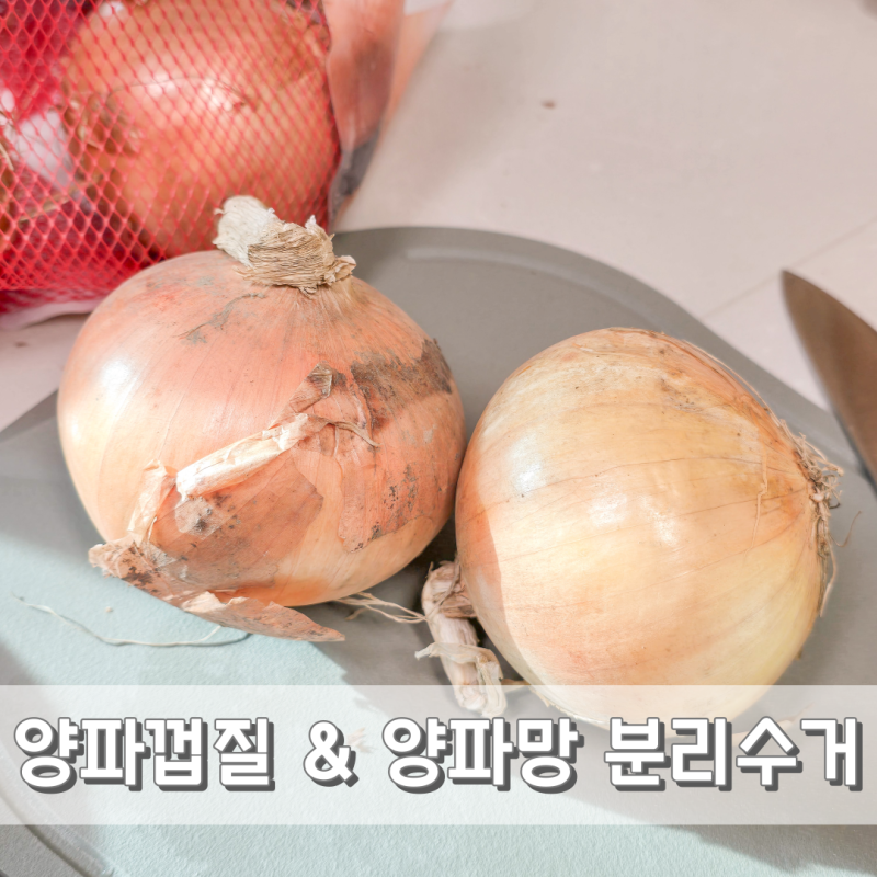 양파껍질 양파망 분리수거방법 음식물쓰레기 or 일반