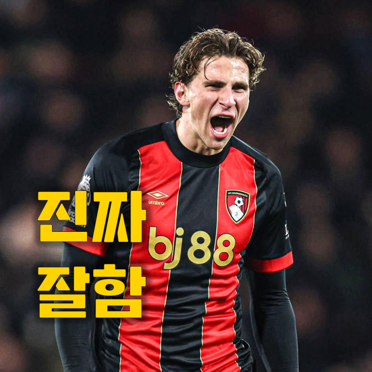 "17위 <b>토트넘</b>" PSG가 노리는 프리미어리그 스타 <b>하이재킹</b> 계획