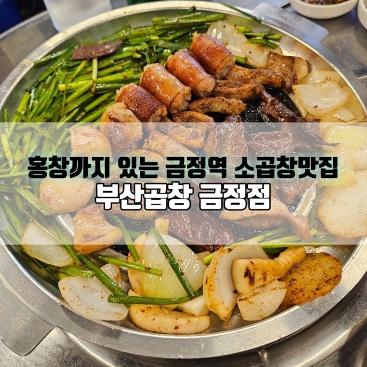  군포 금정역 맛집 소곱창은 부산곱창 금정점｜홍창 포함 모듬구이 리뷰