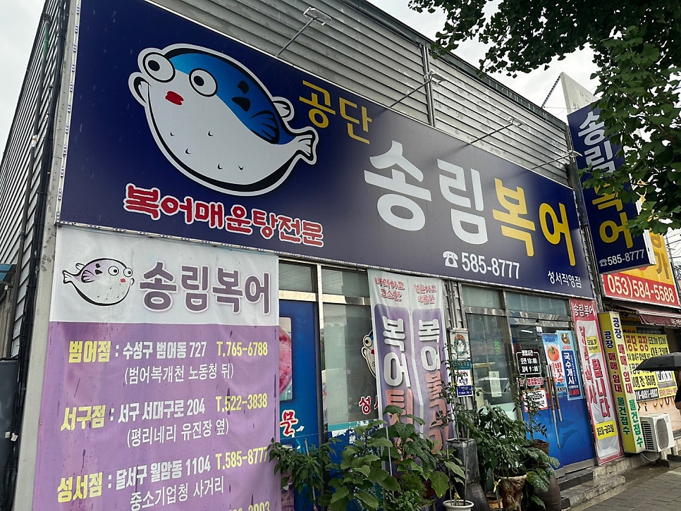 공단송림복어 사진 1