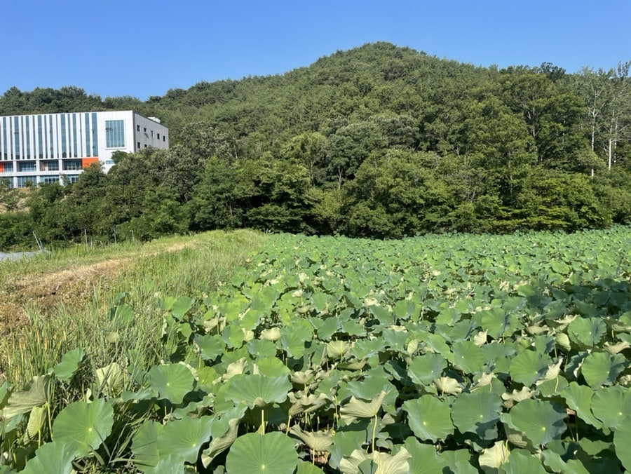 인덕저수지 사진 4