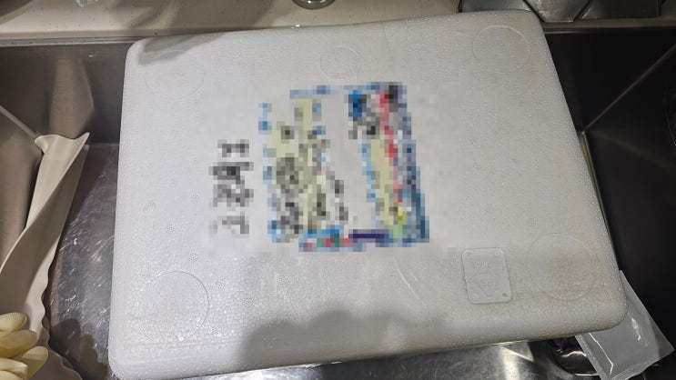  초복에 즐긴 여름보양식 하모샤브샤브 & 하모회 집에서 먹기