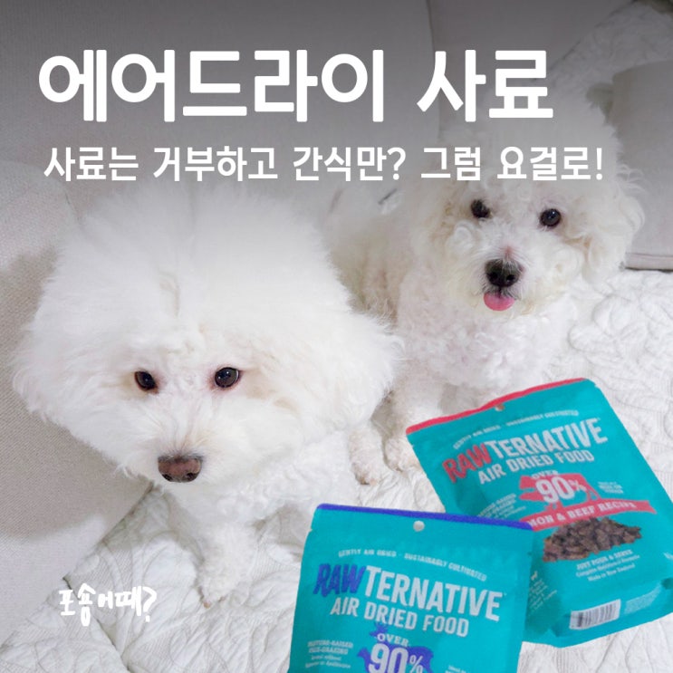  사료는 거부하고 간식만? 그럼 에어드라이 사료 추천 (메이플펫 로우터너티브)