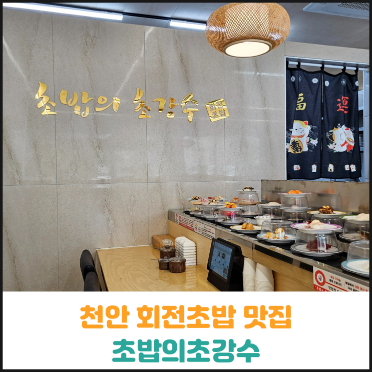  천안 회전초밥 맛집 초밥의초강수 후기