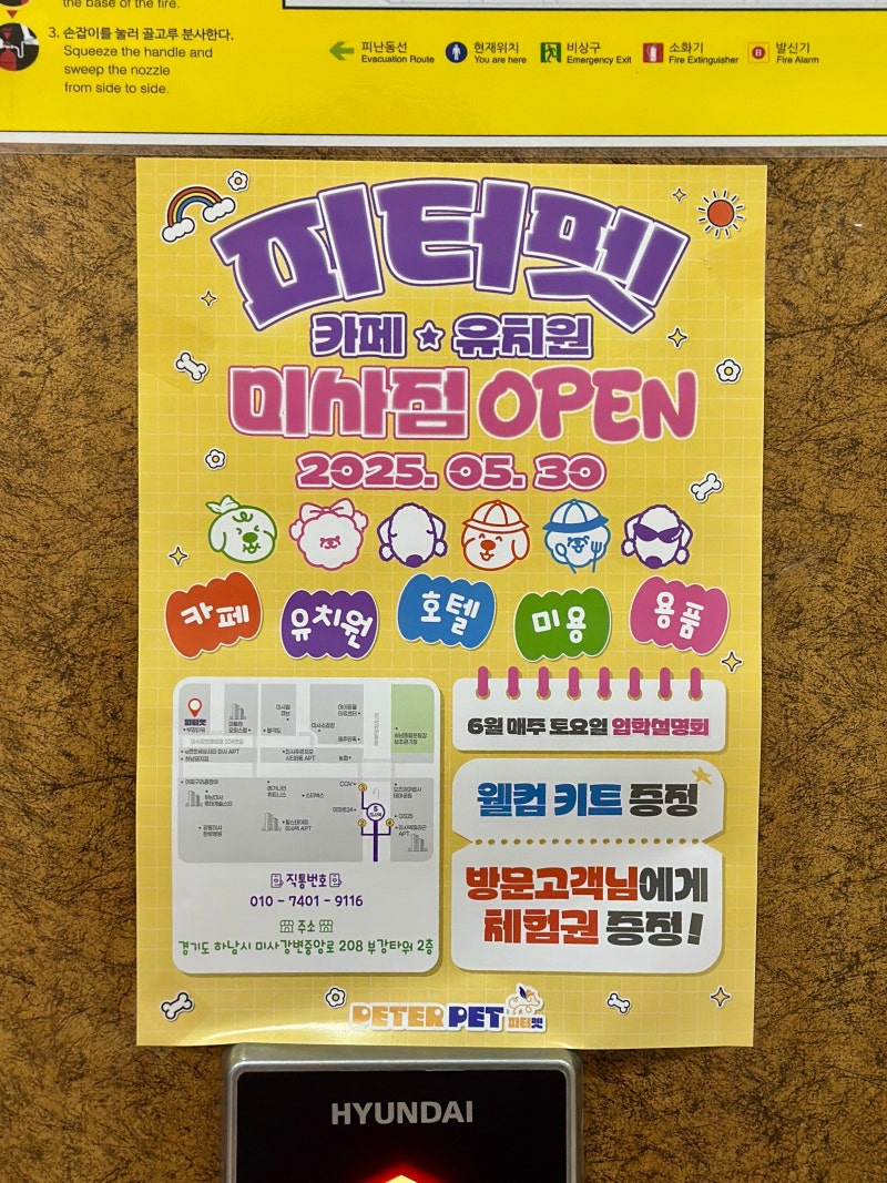 사진 8