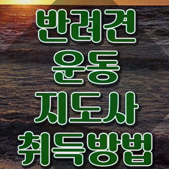  반려견운동지도사 자격증 , 반려견운동지도사 쉽고 빠르게 준비 과정 준비했어요