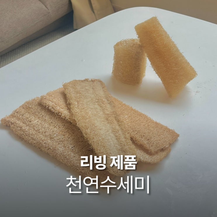  천연수세미 사용방법 예민한 아토피 피부 주방 필수템 얼룩 설거지 솔직후기