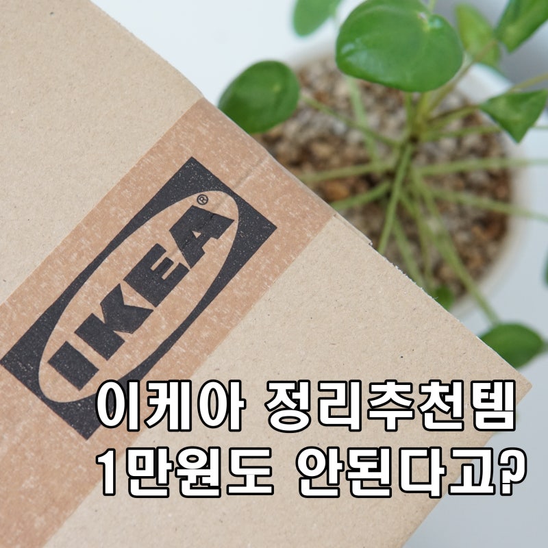 이케아추천템 1만원도 안하는 접시정리대 바리에라