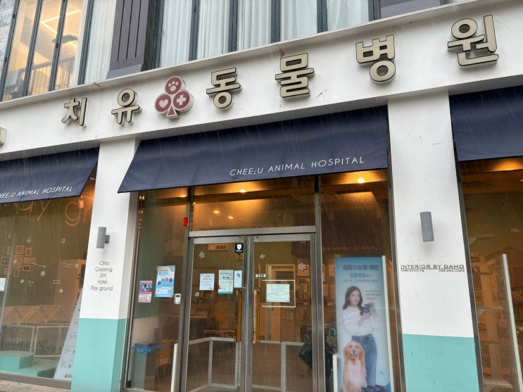  광주 수완지구 동물병원 치유동물병원 건강검진 진료 후기