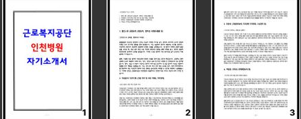  [합격 팁] 근로복지공단 인천병원 자소서