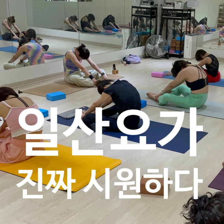  일산요가 차원이 다른 시원함