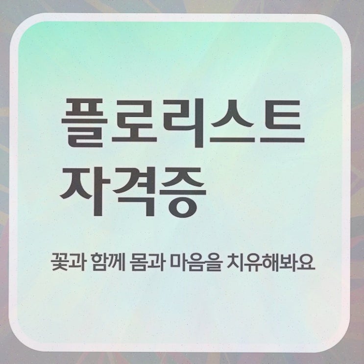  , 자격증 취득한 방법 확인해보세요