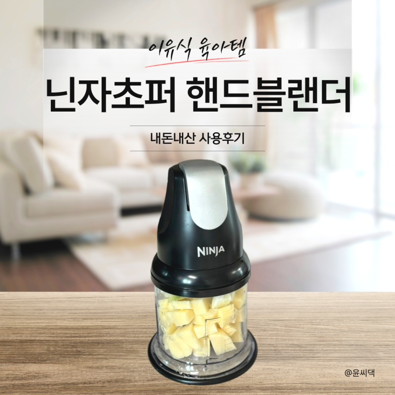 이유식 육아템 닌자 초퍼 핸드블렌더 NJ1001KR 사용 후기(장단점,소음)