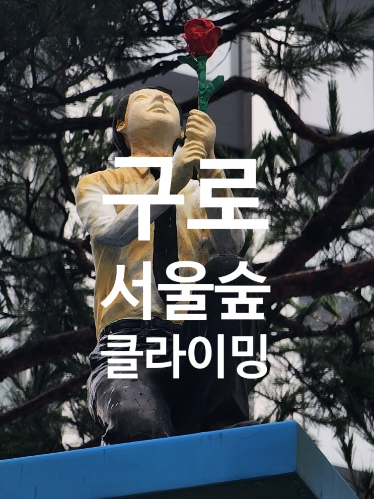  2주 만의 암벽등반 복귀! 천천히 몸을 만드는 과정