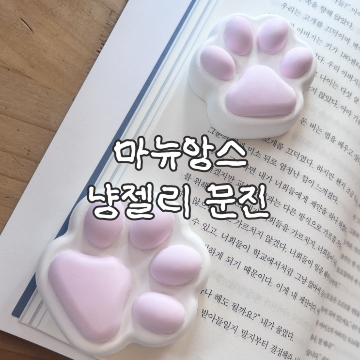  석고방향제 추천 향수 뿌려 사용하는 스톤디퓨저 마뉴앙스 냥젤리 책문진 후기
