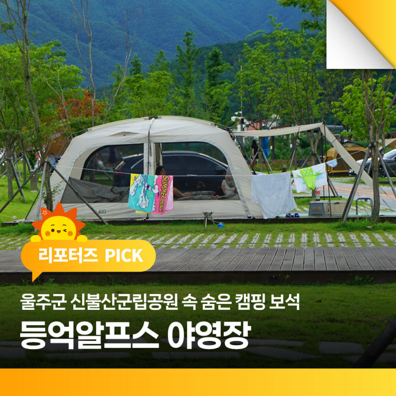 사진 2