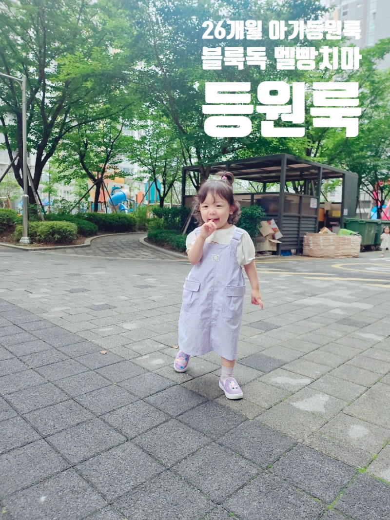 아기등원룩 26개월 블루독 신상 멜빵치마 아기옷