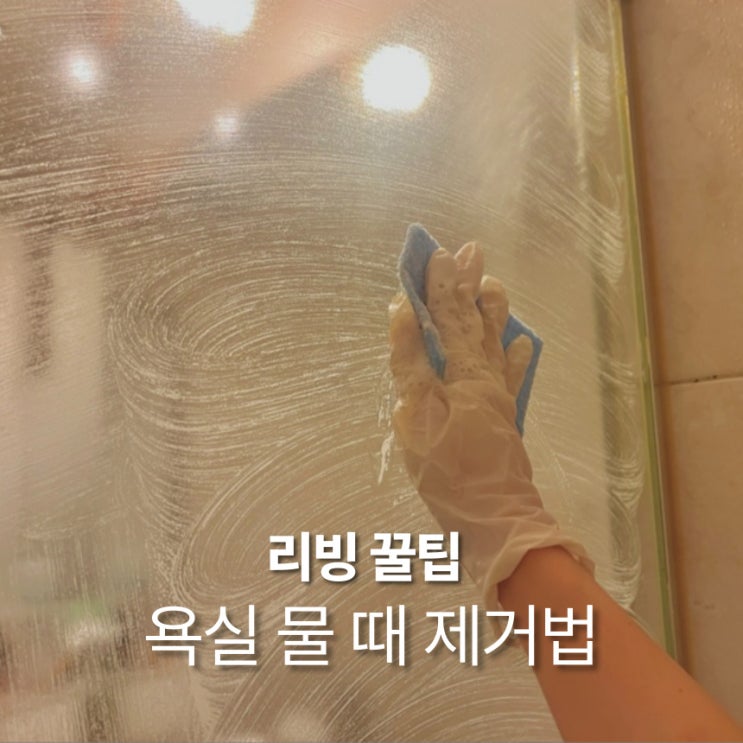  다이소 베이킹소다 주방세제 치약으로 샤워부스 물 때 제거하는 확실한 방법