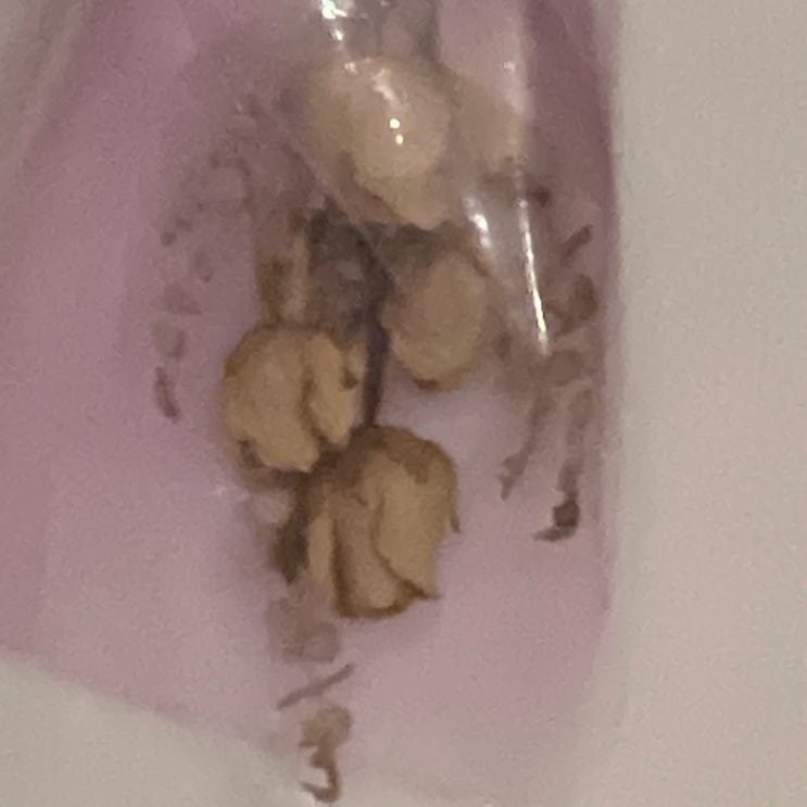  복숭아잼