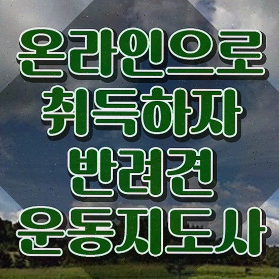  국가 자격증 추천 , 반려견운동지도사 온라인 교육원 통해서 간편하게 끝냈던 전략