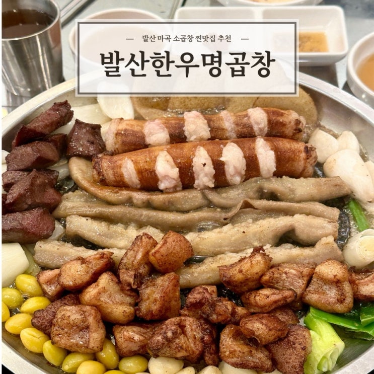  [발산한우명곱창] 고소한 소곱창 발산역곱창 찐맛집 추천