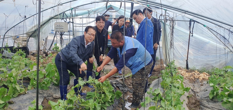 농협상호금융 대표이사, <b>광주</b>·<b>전남 폭우 피해</b> 현장 긴급 점검... 