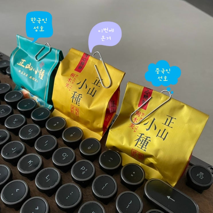  정산소종