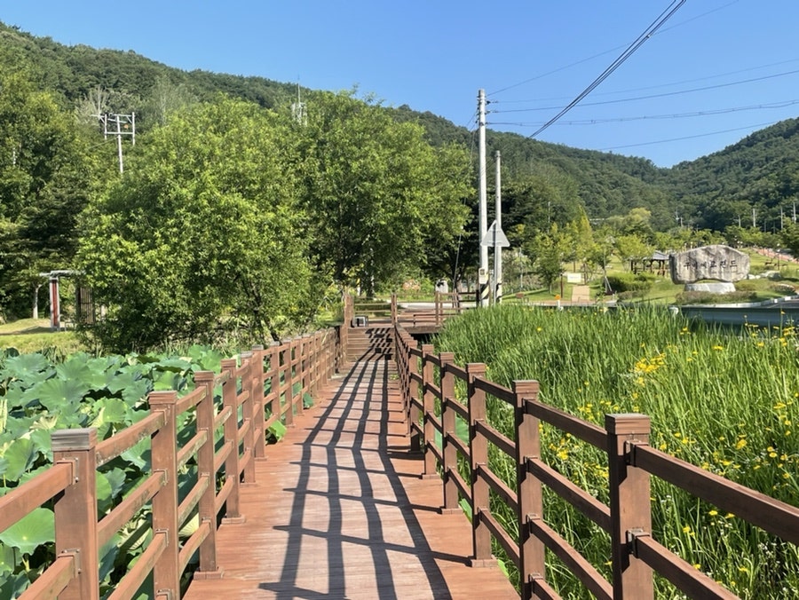 인덕저수지 사진 5