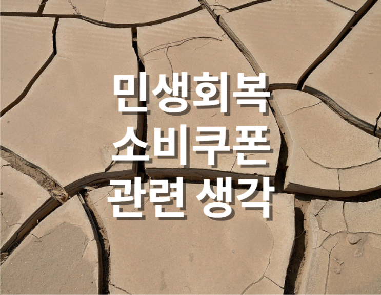 동사무소 북새통, 카드사 먹통 민생회복 소비쿠폰 관련 생각