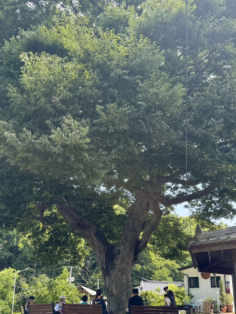 오늘의정원 사진 4