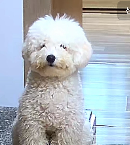 사진 2