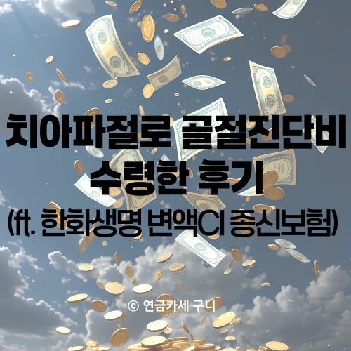  치아파절로 골절진단비 수령한 후기 (ft. 한화생명 변액CI 종신보험)