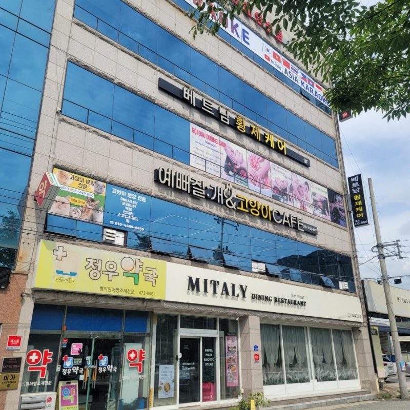 예뻐질개&고양이카페