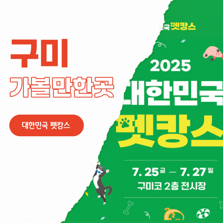 경북 <b>구미</b> 가볼만한곳 대한민국 <b>펫캉스</b> <b>구미</b>코 기본정보 예약