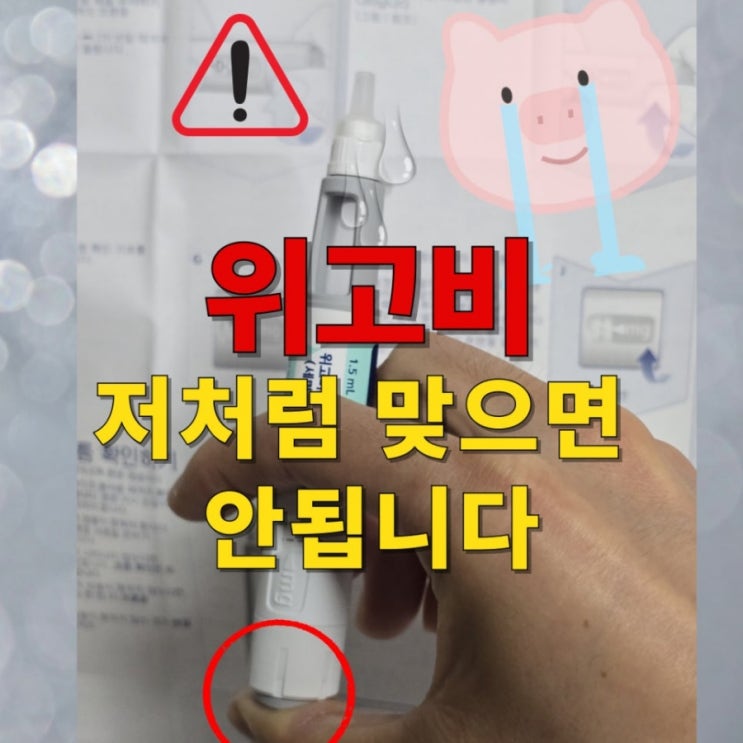  위고비 내돈내산 후기 : 가격 최저가, 효과&부작용, 맞는법 총정리 (광고 X)