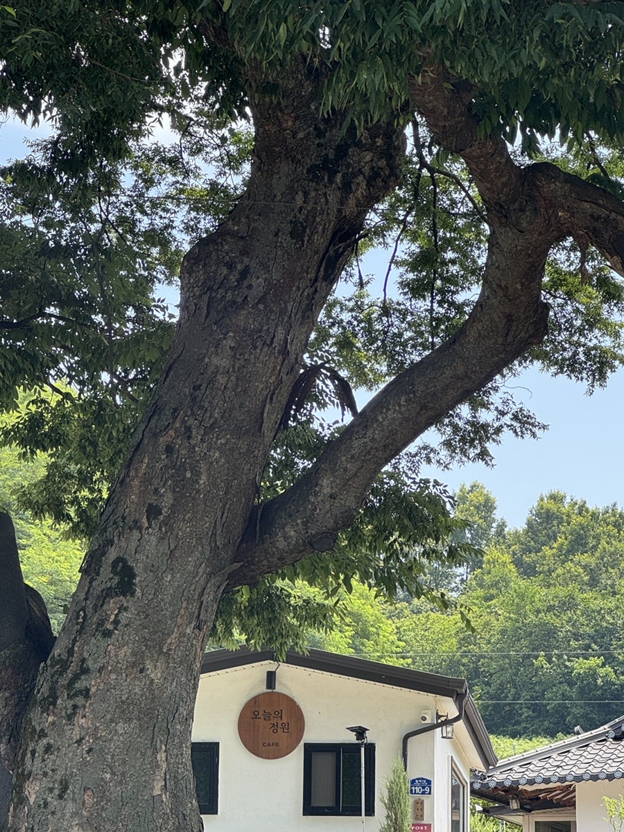 오늘의정원 사진 1