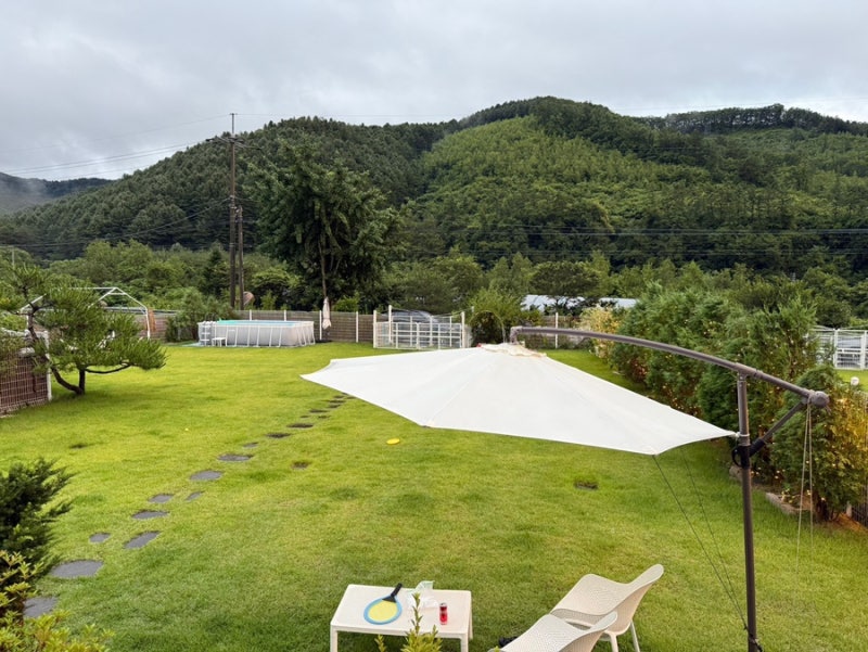 사진 8