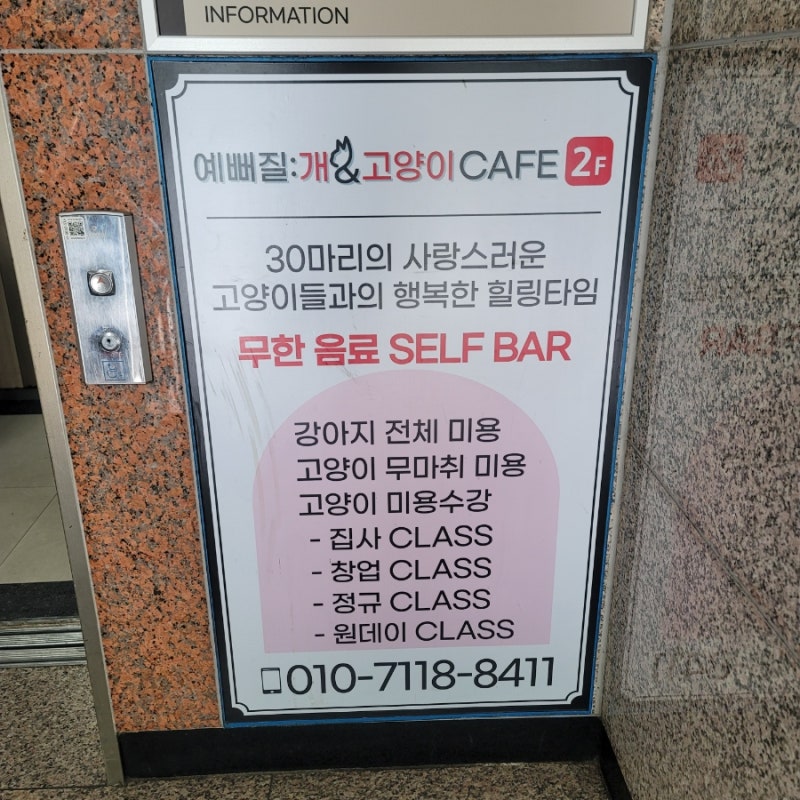 사진 2